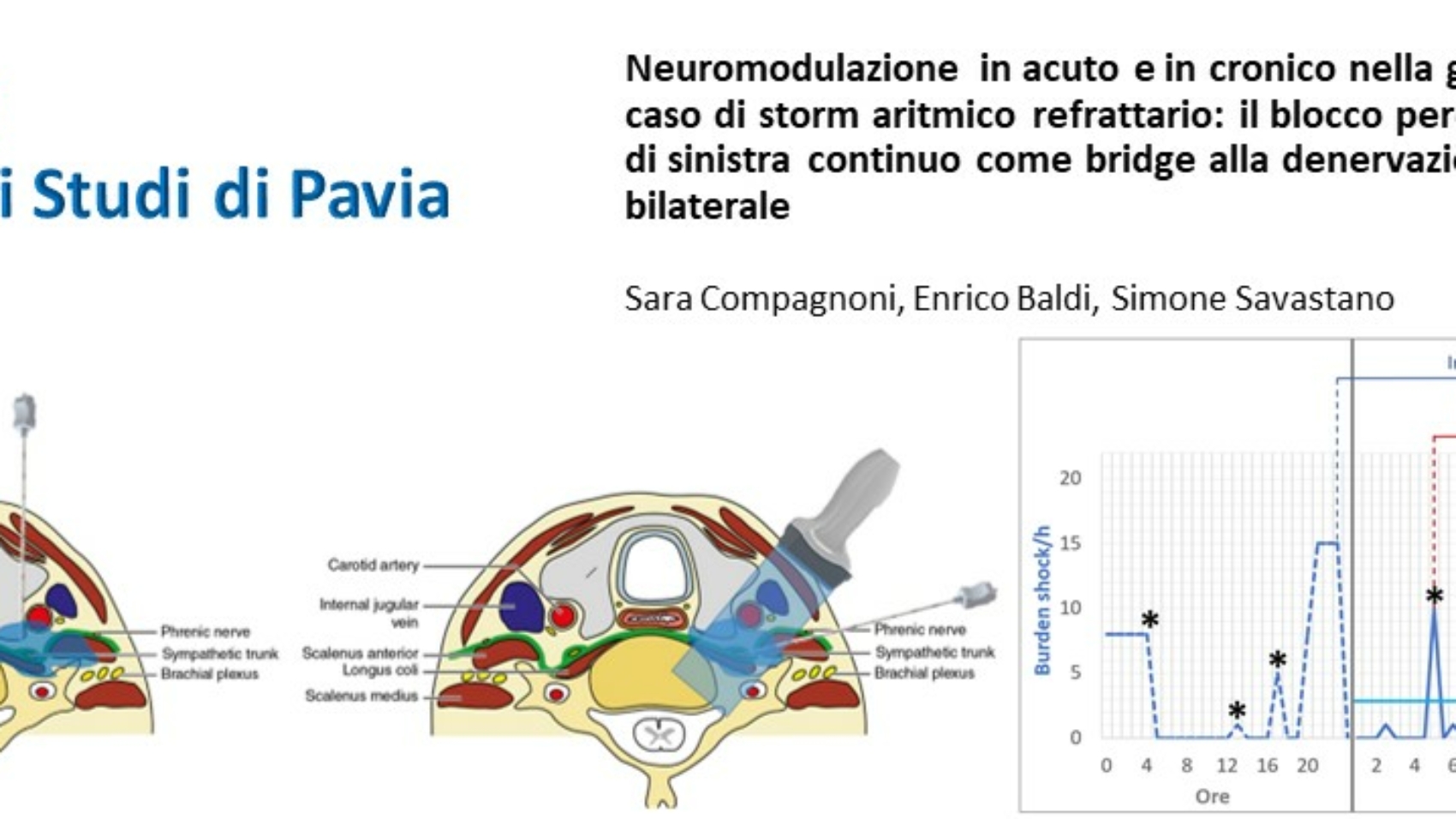 pavia2023